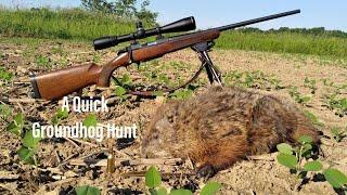 A Quick Groundhog Hunt