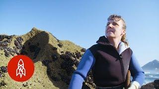 Braving the Tides for Goose Barnacles on Spain’s Rocky Coast