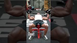 CHEST WORKOUT | Grow A Bigger Chest With These 4 Movements 