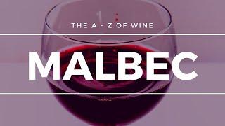 What is MALBEC - What you need to know about this popular grape.