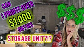 I bought a 10x20 Storage Unit at auction hoping for BIG profits! #new #unboxing #auction