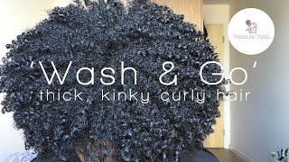 'Wash & Go' On Thick Kinky Curly Hair Ft Treasure Tress