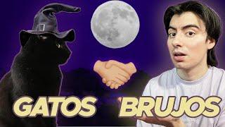 El Mejor Amigo del Brujo - Los Gatos 