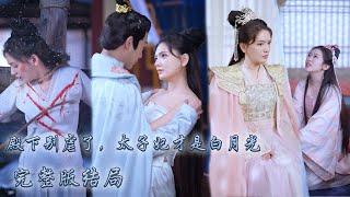 Prince only dotes on concubine, but doesn’t know princess is one who really saved him