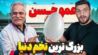 به عمو حسن یه تخم گنده دادیم تا املت بپزه !