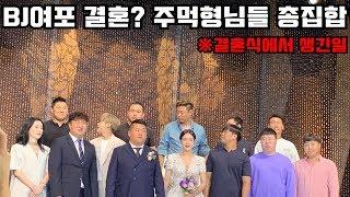 BJ여포 결혼식장에 주먹형님들 총집합!? (feat.모기)