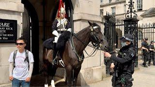 "Enchanting Equine Elegance: A Day of Royal Splendor and Tourist Excitement"