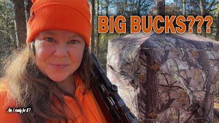 BIG BUCKS are in the Forest - Hunting Season is here, are you ready?