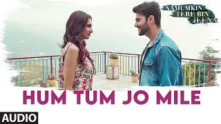 Hum Tum Jo Mile Full (Audio) Song | Namumkin Tere Bin Jeena | Shaan | Anmol Chopra, Rehana