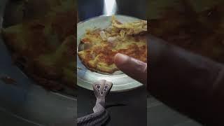 Snake VS omelet / Egg / funny clip