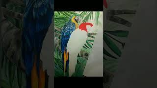 Lapas (Macaw) Lapices de Color (Color Pencil)