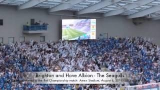 Brighton and Hove Albion - Amex Stadium first match.mov