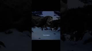 Yutyrannus Huali VS Albertosaurus Sarcophagus #Albertosaurus #Yutyrannus #Debate #Shorts