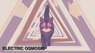 Purrple Cat - Ascent