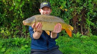 August Carp Fishing Session - Catching Carp with Boilies