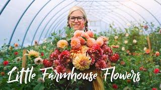 BEAUTIFUL Flower Farm in the Adirondacks of Upstate New York!