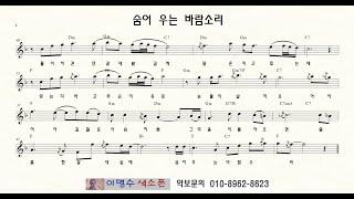 519 숨어우는 바람소리 (이정옥) ㅡ 앨토색소폰 이명수 엘프 ELF 반주기에 맞춘 꾸밈음 악보