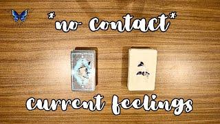 *NO CONTACT* THEIR CURRENT FEELINGS FOR YOU ️‍️‍🩹 Timeless Tarot Reading 