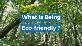 What is Being Eco friendly