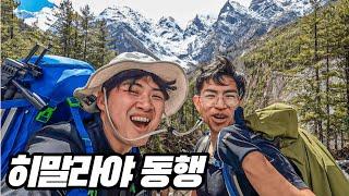 히말라야 3300m 등반 중 드디어 동행이 생겼다 네팔 트레킹 #7