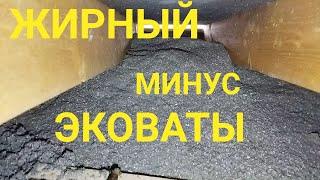 Эко Вата. Отзыв. Огромный минус ЭкоВаты.