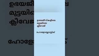 hst natural science/syllabus based/ cleavage/ amphibia