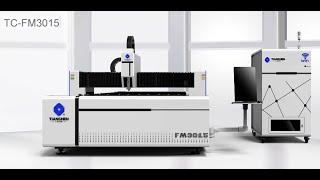 Оптоволоконная установка лазерной резки металла TC- FM3015 1500 кВт TC-LASER (Китай)