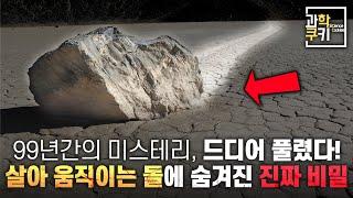 과학자들조차 99년간 풀지 못했던 문제가 밝혀지다! | 과학쿠키 다큐 단편