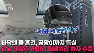 "45억 내고 곰팡이랑 살 판" 물 줄줄 새고, 고드름까지..서초원베일리 '결로 하자' 속출