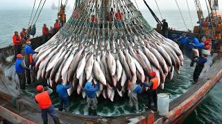 Epic Purse Seine Operation Modern Vessel Nets 200+ Tons of Fish in One Go