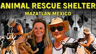 Volunteering at an Animal Shelter in MAZATLAN | Heartfelt Moments with Mexico's Most Vulnerable 