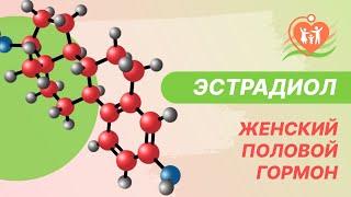  Эстрадиол - женский половой гормон