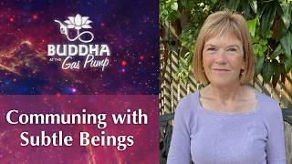 Subtle Beings and Their Role in Creation | Tanis Helliwell | Buddha at the Gas Pump Interview