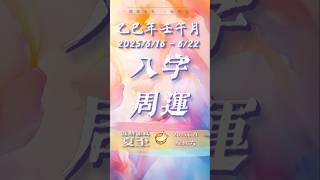 八字周运 2025.6.16 - 6.22 石楠深叶里 薄暮两三声 | 一辰姐姐专栏 #八字 #猪猪金水 #运势 #周运