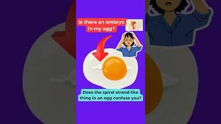 egg structure and composition | embryo in egg yolk | egg structure #egg #eggmyths #shorts