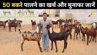 50 बकरे पालने का खर्च और मुनाफा जानें - Goat Farming Secrets| Goat Farming Business | Bakri Palan