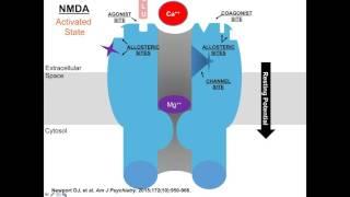 Ketamine, Glutamate, and the Future of Mood Disorders Therapeutics