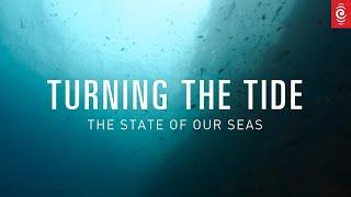 Turning the Tide | Episode 1: The State of Our Seas | RNZ