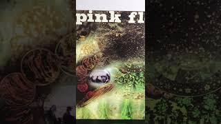 Pink Floyd - Let There Be More Light (Green Translucent Vinyl)