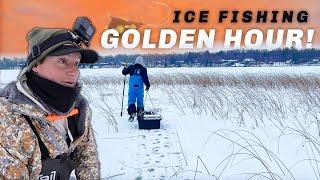 PRIME TIME Panfish & Walleye on Thin Ice! (Early Ice Fishing)