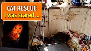 My Scariest Cat Rescue - Locked inside with no food for weeks (now in stereo).