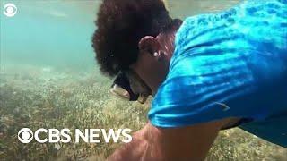 Climate change is eroding a way of life for Fiji's fisherwomen