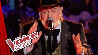 Bob Dylan - Blowin' In The Wind (Lutz Adam) | The Voice Senior | Sing Off