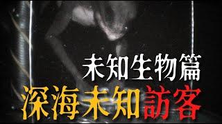 海底居然有外星人的痕跡？他們在呼喚我！【These Darker Tides】正式版 未知生物篇