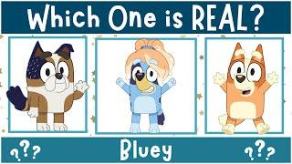 Can You Guess The REAL Bluey Character?