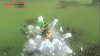 Bokoblin arrow shot SBR into bullet time bounce