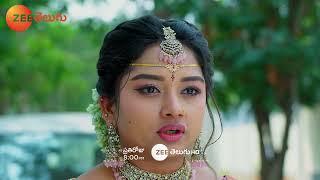 Padamati Sandhya Ragam Promo - 12 Dec 2024 - Everyday at 8:00 PM - Zee Telugu