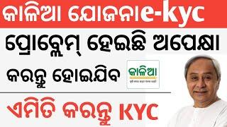 Kalia Yojana e-kyc complete | Kalia Yojana eKYC online | Kalia Yojana online apply