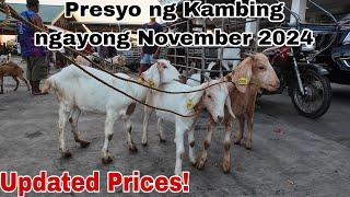 November 01, 2024 Presyo ng Kambing sa Padre Garcia Batangas Livestock Auction