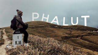 One of India's Best Trek Route | Sandakphu To Phalut Ep 2 | Highway To Heaven